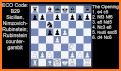 Encyclopedia Chess Combinations Vol. 1 Informant related image