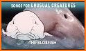 Blobfish related image