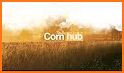 CornHub related image