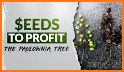 Profit Tree related image