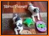 Puzzle Puppies -Kid Puzzle related image