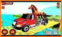 Wild Animal Transport: Multi Level Parking Games related image