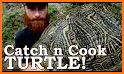 Run Turtle Challenge related image