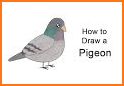 Art Pigeon related image