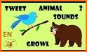 Animal Sounds : Flash Cards For Toddlers And Kids related image