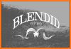 Blendid related image