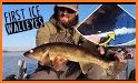 Walleye Now related image