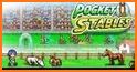 Pocket Stables related image