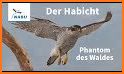 NABU Vogelwelt - Vögel Entdecken und Bestimmen related image