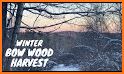 Wood Harvest related image