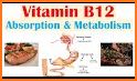 Biochemical metabolism related image