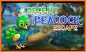 Decent Peacock Escape related image