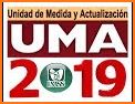 LIMSS 2019 - Ley del Seguro Social related image