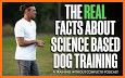 GoodPaws – Force Free Dog Training & Wellness! related image