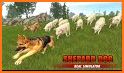 Dog Race Game 2020: Animal New Games Simulator related image