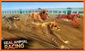 Real Safari Animal Racing Simulator - Wild Race 3D related image