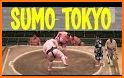 Sumo Wrestling 2019: Live Sumotori Fighting Game related image