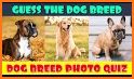 Dog Quiz Guess Dog Names Test ❓🐕⁉🐶❤ related image