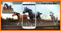 Horses 3D Live Wallpaper related image