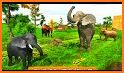 Elephant Family Simulator: Wild Animal Survival related image