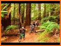 Bike Trails: Rotorua related image