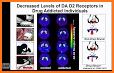 Clinical Biochemistry: Metabolic & Clin Asp 3 related image