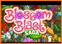 Flower Blast related image