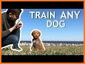 Dog Clicker - train dog related image