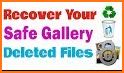 Recover Deleted Files Pro related image