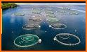 Ocean Word : Fun Fish Farming related image