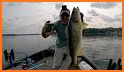 Walleye Now related image