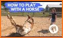 Horse Care and Riding related image