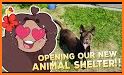 Pet Shelter Sim: Animal Rescue related image