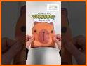 Lucky Blind Bag Capybara related image