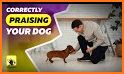 EveryDoggy: Dog training app related image