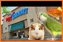 Petsmart related image