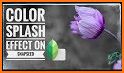 Color Splash Photo Editor related image