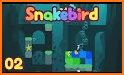 Snakebird related image