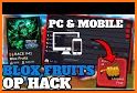 Blox Fruits Mod Instructions (Unofficial) related image