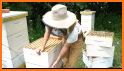 Intelligent Hives - Managing your apiary related image