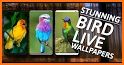 Birds Sounds Ringtones & Live Wallpapers related image