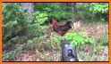 Angry Chicken Super Knock Down Super hungry birds related image