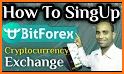 BitForex Pro related image