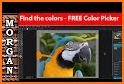 Custom Color Picker: D'Best Artist's Color Picker related image