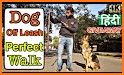 Woofz - Smart Dog Training related image