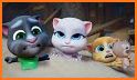 Videos - Talking Tom Cartoon related image