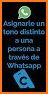 YOVAG Contacto WhatsApp related image