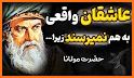 مولانا - مولوی، رومی related image