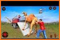 Wild Animals Rescue Simulator - Transport Game related image