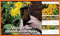 Plant identifier app - Tree, Flower, Leaf ... related image